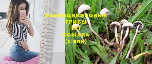 первитин Баксан