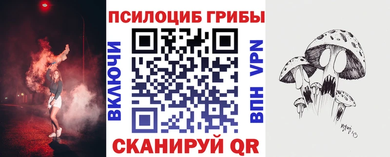Псилоцибиновые грибы Psilocybe  Грязи 